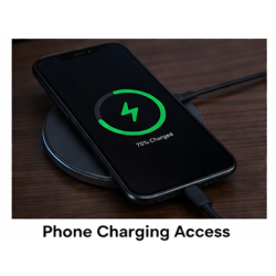 Phone charging access